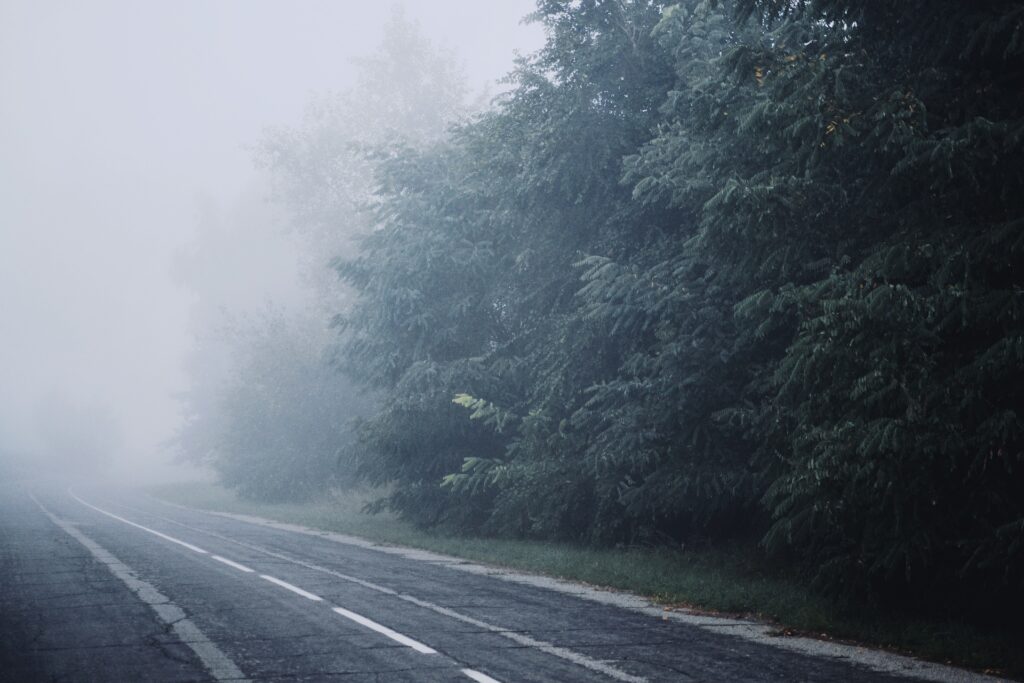 A misty road with bushy trees surrounding.