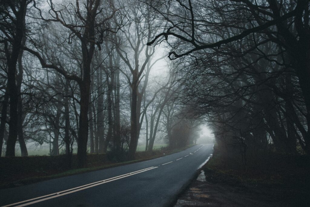 A foggy country road surrounded by trees with exposed branches.